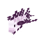 Echofin