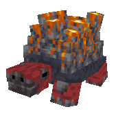 Ember Tortoise