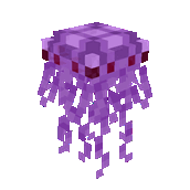 Jellyfish