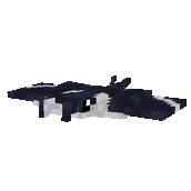Manta Ray
