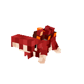 Crimson Newt