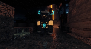 Warden