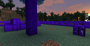 Lilac Trees