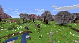 Blossoming Fields