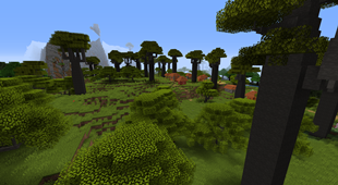 Baobab Fields