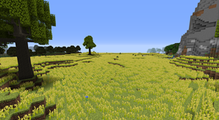 Prairie