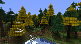 Autumnal Coniferous Forest