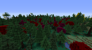 Crimson Thicket