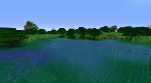 Mangrove Marsh