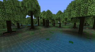 Willow Wetlands