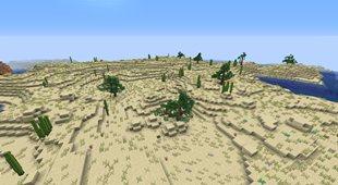 Desert Shrubland