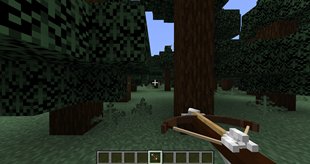 crossbow_arrow_viewmodel.png