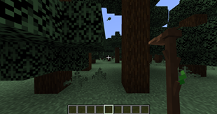 hoe_viewmodel.png