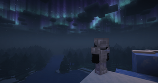 Player watching an aurora