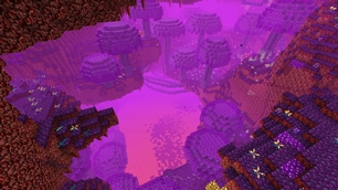 An Even Better Nether!