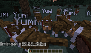 Yumi