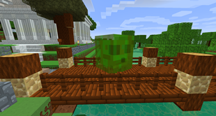Slime