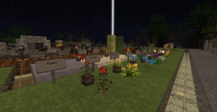preview2