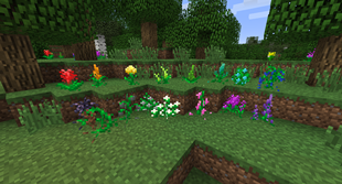 Mystical Flowers