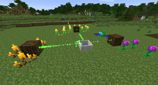 Generating Flora