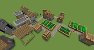village