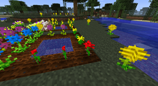 A field full of flowers 2