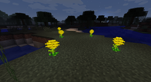 Glowflower at night