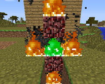Propagation