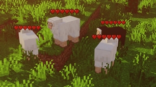Sheep