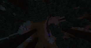 Carcharodontosaurus hunting