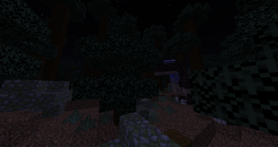 Carcharodontosaurus in a forest