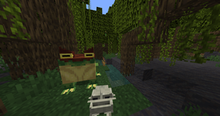 Beelzebufo and frog