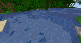 Bunch of anomalocaris babys