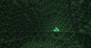 Jade geode from inside
