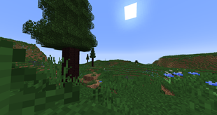 Cooksonia Plains