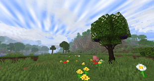 plum.png