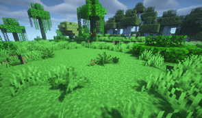 Hemp