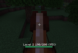 Horse Leveling