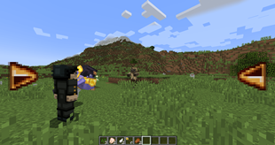 Locking Camera
