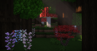 The maple tree in the dark forest