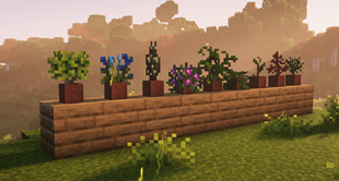 All the potted version of the plants