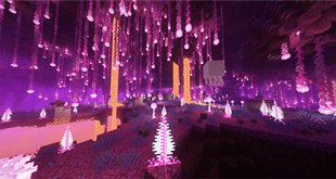 Media Image Nether.png
