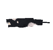 rightwhale.gif