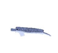 Shepherd's Beaked whale - Converted (2).gif