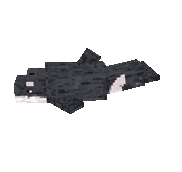 orca (1).gif