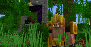 Portal Guard