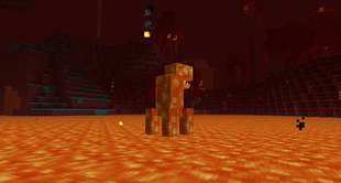 A11.png