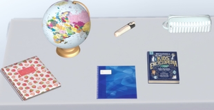 Screenshot 11