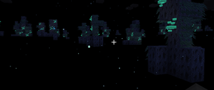 image (1).png