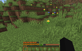 Hotbar